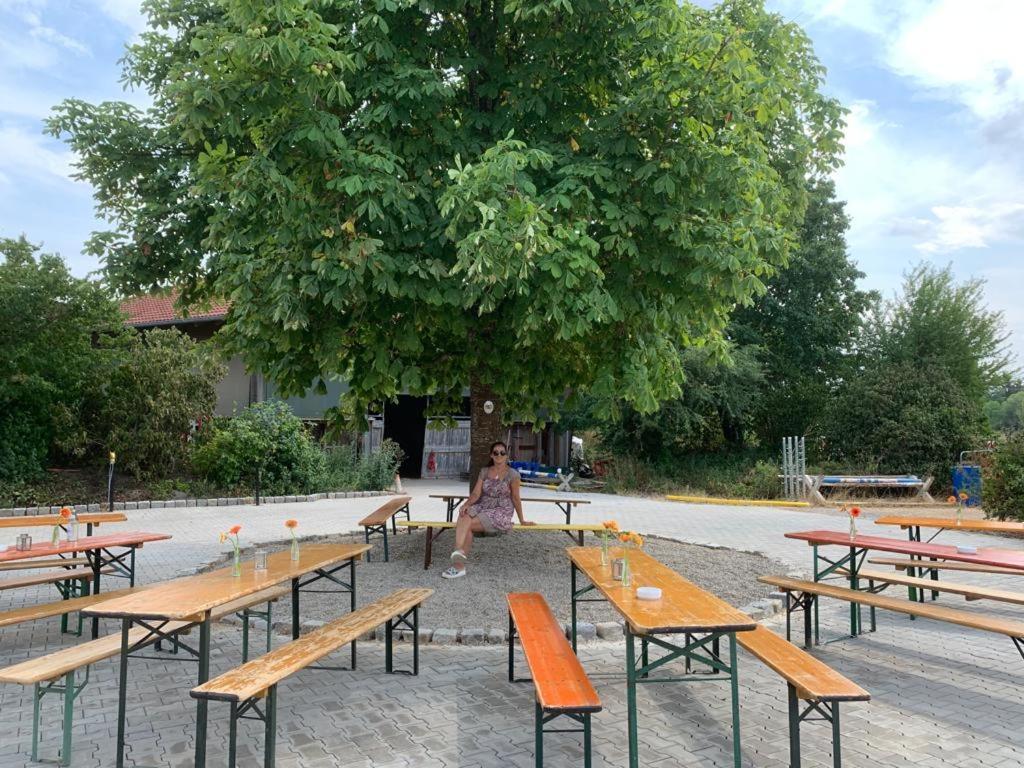 Reitschule Kronwitter Mainbernheim Esterno foto